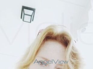 AngelView