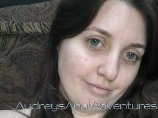 AudreysAnalAdventures