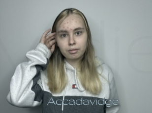 Accadavidge