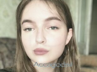 Accagodsil