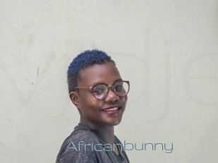 Africanbunny