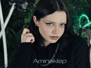 Aminaklep