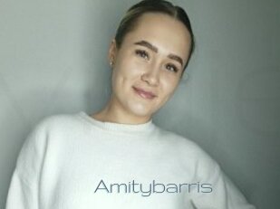 Amitybarris