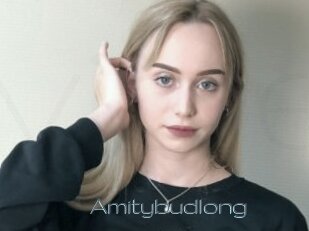 Amitybudlong