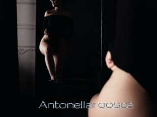 Antonellaroosee