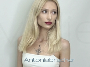 Antoniabracher