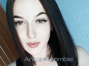 Antoniagrimble