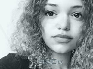 BibiDix
