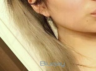 Blue_jay