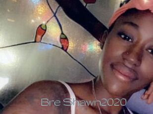 Bre_Shawn2020