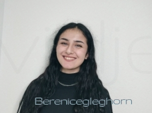 Berenicegleghorn