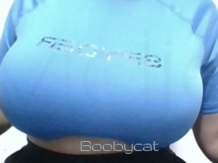 Boobycat