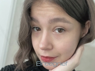 Breegrief