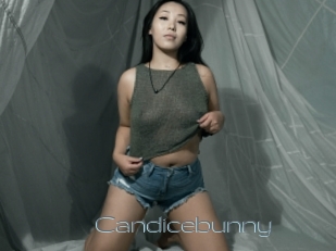 Candicebunny