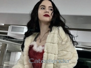 Cateellender