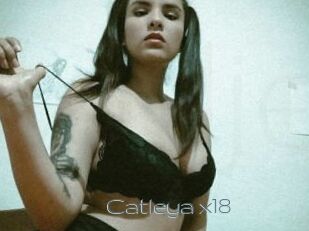 Catleya_x18