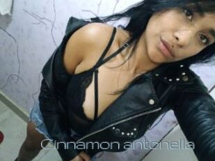 Cinnamon_antonella