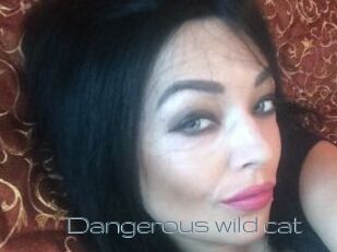 Dangerous_wild_cat