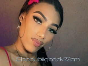 Ebonybiigcock22cm