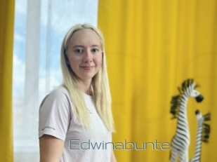 Edwinabunte