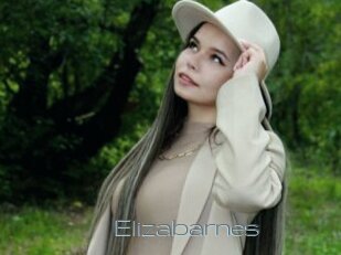 Elizabarnes