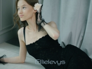 Ellielevys