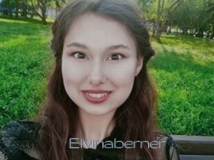 Elvinaberner