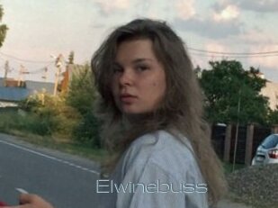 Elwinebuss