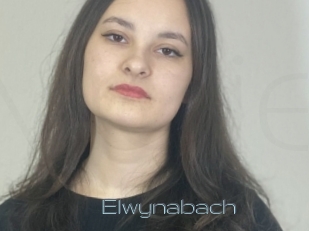 Elwynabach