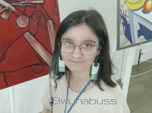 Elwynabuss