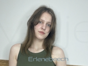 Erlenebeech