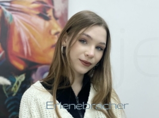 Erlenebracher