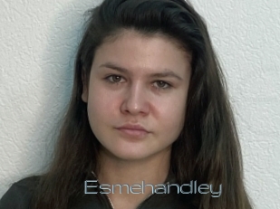 Esmehandley