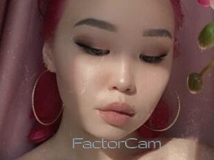 FactorCam