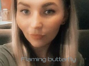 Flaming_butterfly