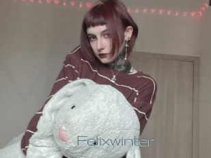 Felixwinter