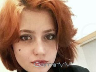 GarminViV