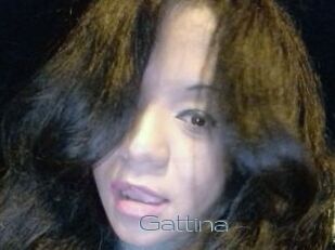 Gattina