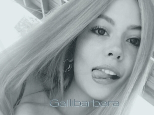 Gallibarbara