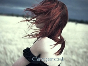 Gingercat