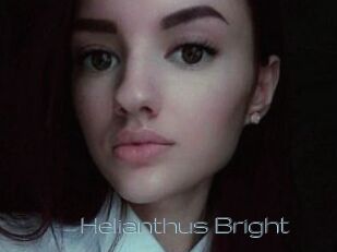 Helianthus_Bright