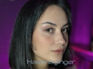 Hawanaginger