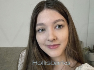 Hollisbarks