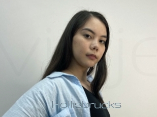 Hollisbrucks