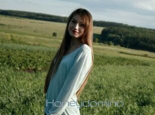 Honeydomino