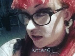 Kitten6
