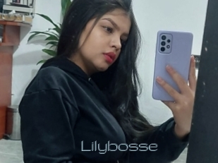 Lilybosse