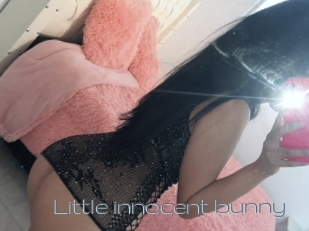 Little_innocent_bunny