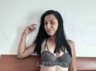 Littlemini