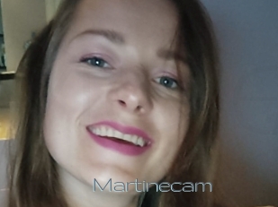 Martinecam